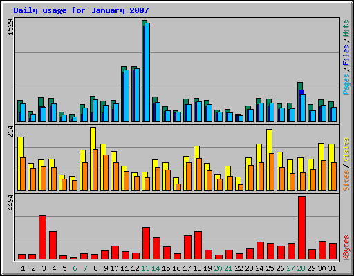 Daily usage for January 2007