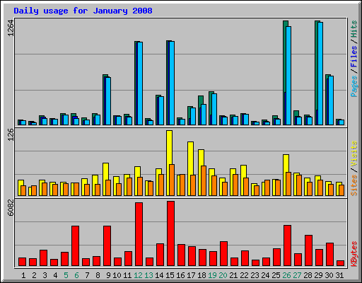 Daily usage for January 2008