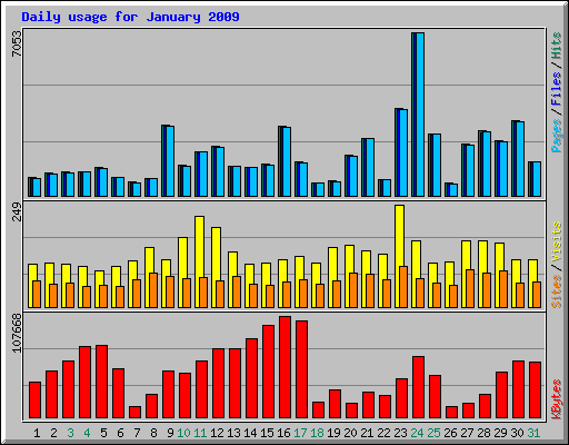 Daily usage for January 2009