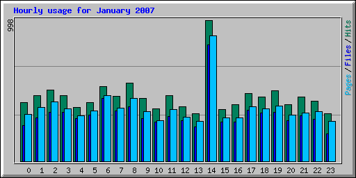 Hourly usage for January 2007