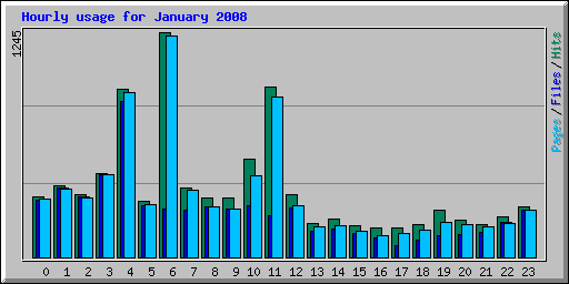 Hourly usage for January 2008