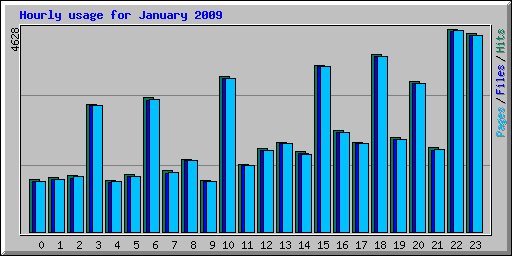 Hourly usage for January 2009