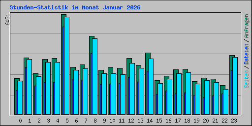Stunden-Statistik im Monat Januar 2026