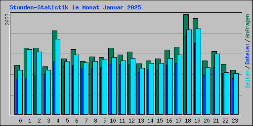 Stunden-Statistik im Monat Januar 2025