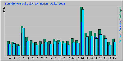 Stunden-Statistik im Monat Juli 2026